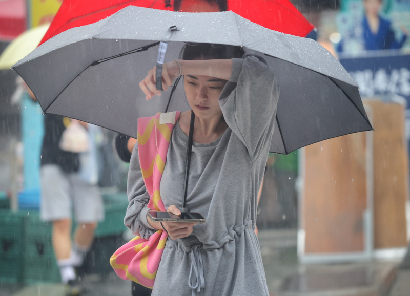 На Тайване начался сезон «сливовых дождей»